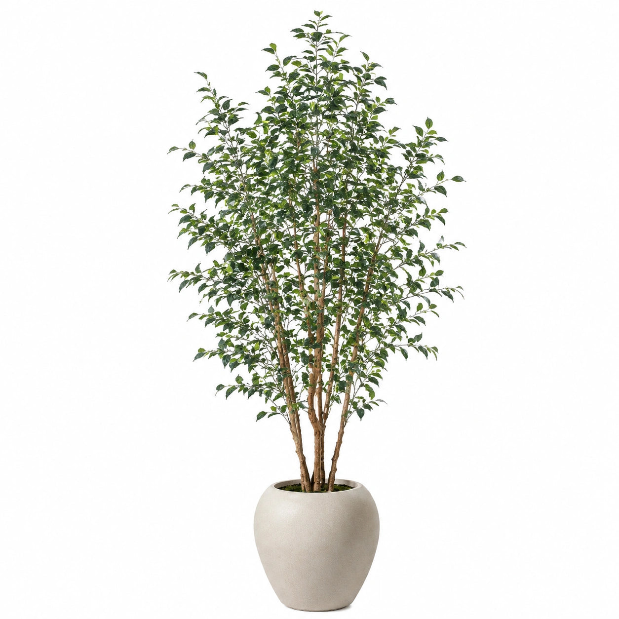 Künstlicher Ficus Benjamina Baum mit Topf, 180 cm, Grün