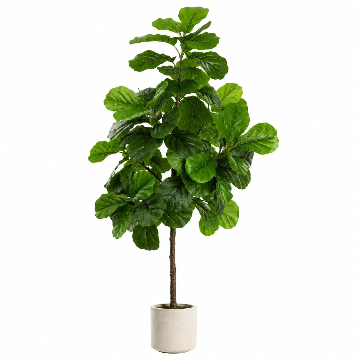 Künstlicher Geigenfeigenbaum Grün 150 cm mit Keramikübertopf