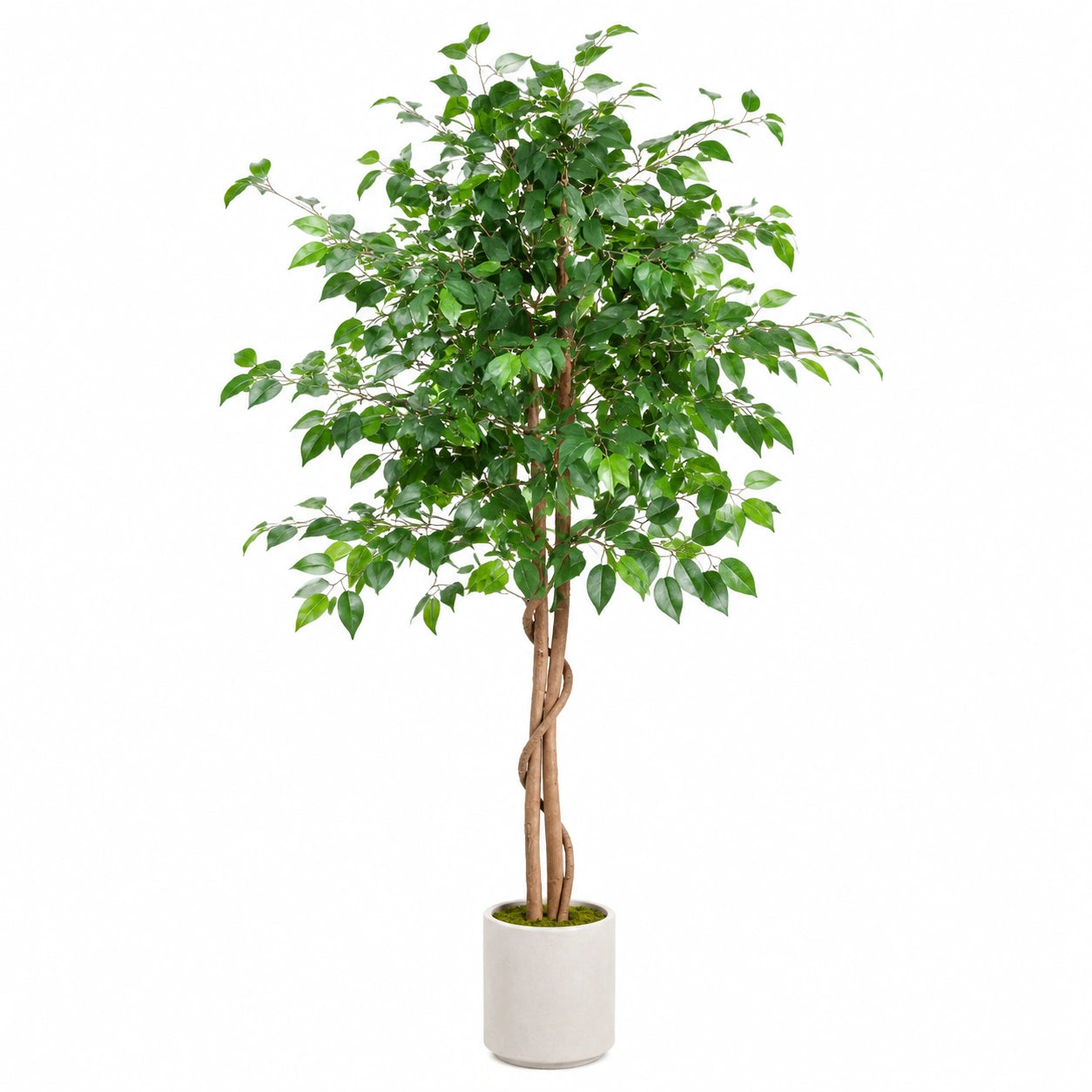 Künstlicher Ficus Baum 180cm im Keramiktopf Grün