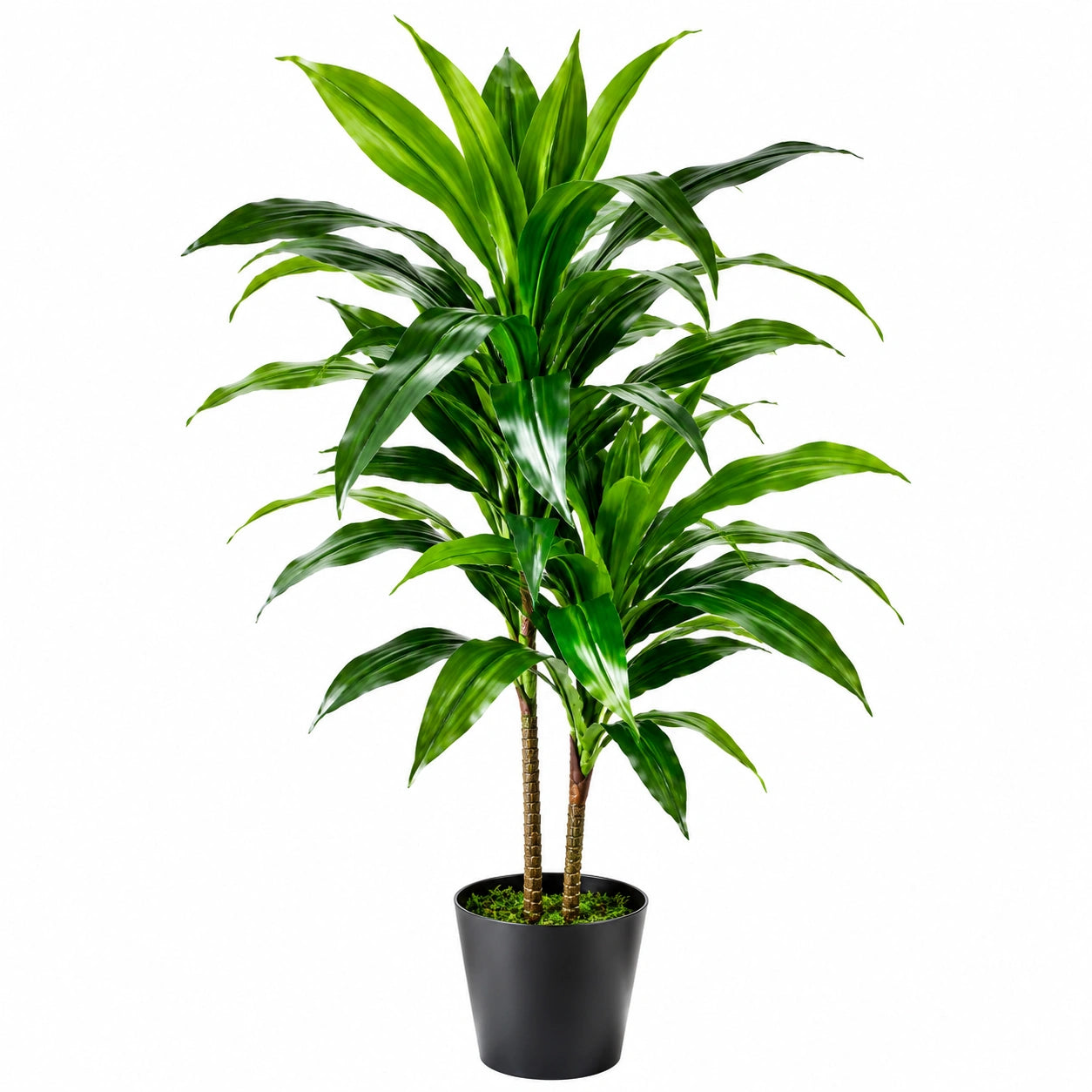 Künstliche Dracaena Zimmerpflanze 150 cm mit Topf Grün