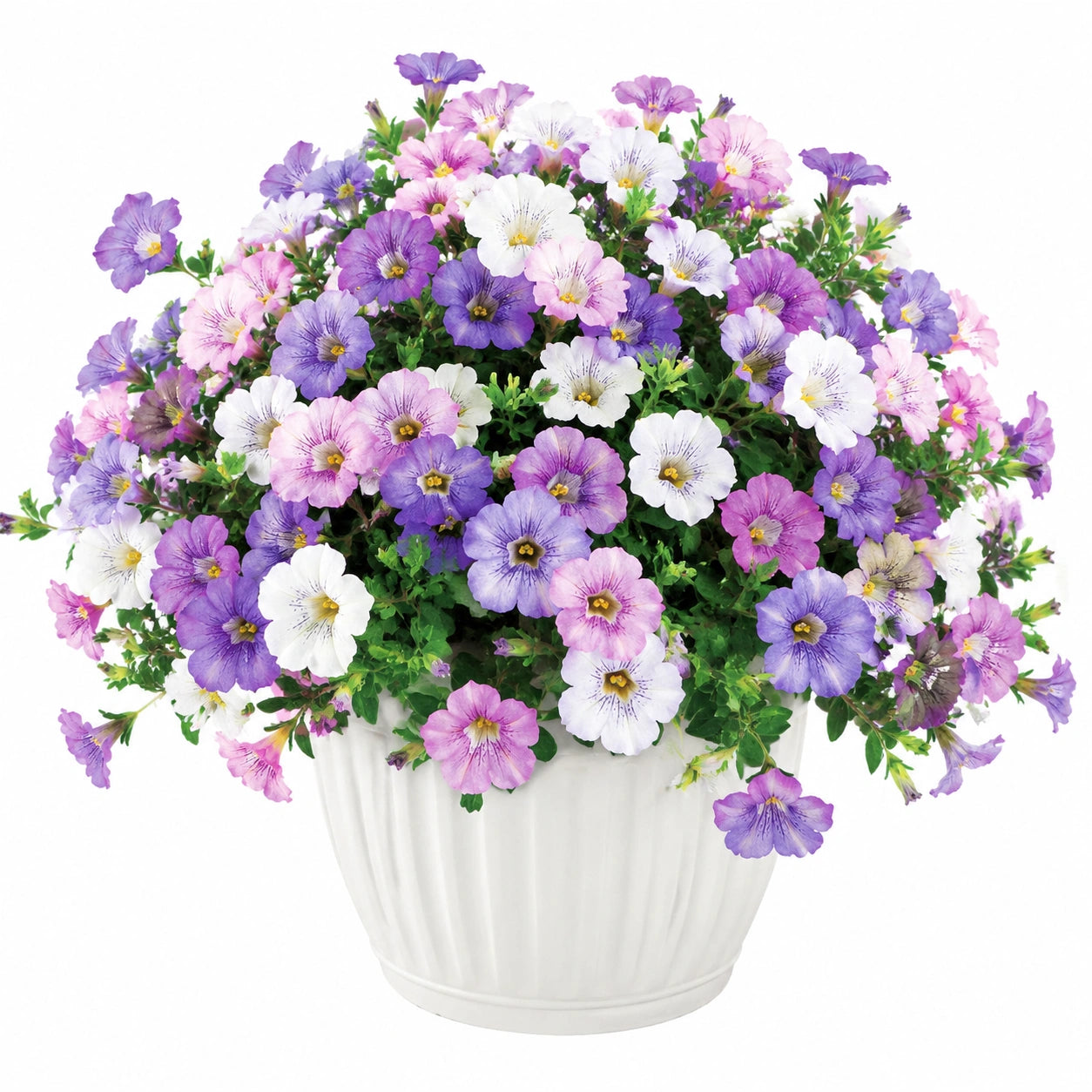 Künstliches Petunien-Blumenarrangement im Topf Lila/Weiß/Rosa