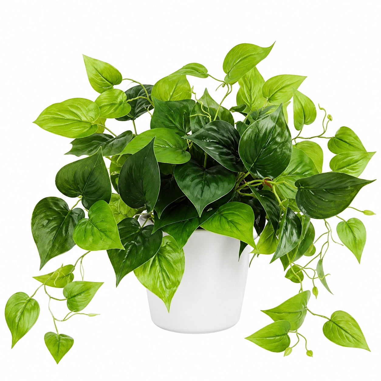 Künstliche Efeutute mit Topf, 50 cm, Weiß